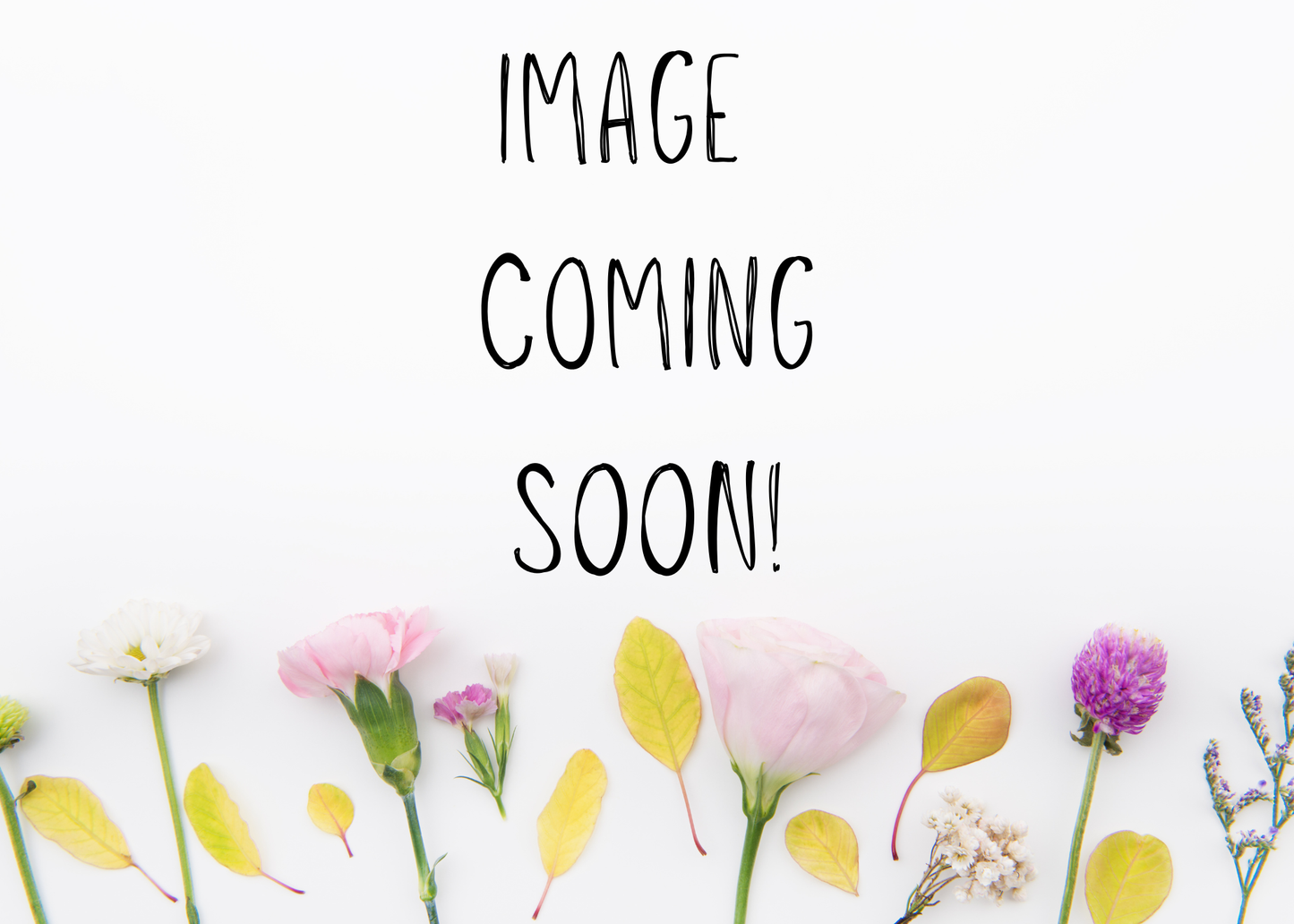 No. 24 | Warm Chocolate Croissant Coconut-Soy Wax Candle